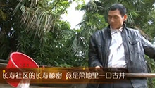长沙惊现长寿社区