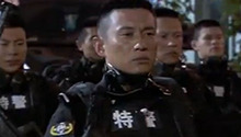 嫌犯现真身 抓捕行动硝烟四起